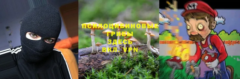 Галлюциногенные грибы MAGIC MUSHROOMS  цена наркотик  Струнино 